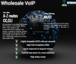 wholesale-voip-we-offer-a-z-routes (1).png