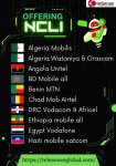 Cameroon Orange NCLI DRC Mob Airtel NCLI Ecuador NCLI Iran Mob MCI NCLI Kazakh TDM for forex -...jpg